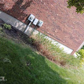 Flower Bed Weeding by Aparicio Lawn Care reviewed on May 23, 2022