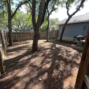 Leaf Removal by AJ's X-terior WorkZ reviewed on June 14, 2025