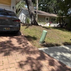 Leaf Removal by Faire N Square reviewed on July 5, 2022