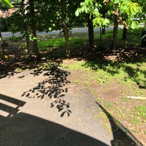 Flower Bed Weeding by Life Source Lawn Care and Property Services reviewed on June 30, 2022