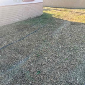 Cleanups by Mondragon landscaping reviewed on July 29, 2022