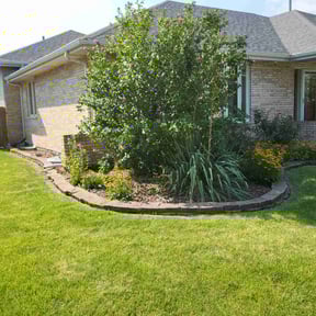 Flower Bed Weeding by Betts Greenery reviewed on November 16, 2024