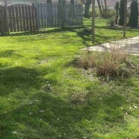 Leaf Removal by ItsBeautyinTheLawnLLC reviewed on October 16, 2022