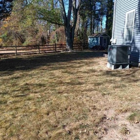 Leaf Removal by All your needs lawn care reviewed on June 29, 2022