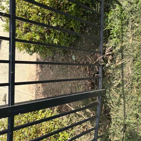 Flower Bed Weeding by Essence of Nature Lawn Care Service reviewed on August 1, 2025