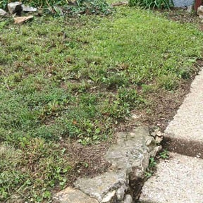 Weeding by Proper Lawn Care Co reviewed on June 24, 2022