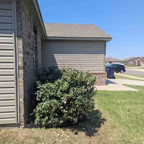 Bush Trimming by Lawn pros reviewed on July 23, 2025