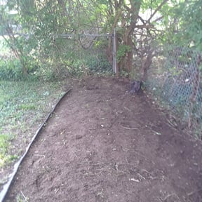 Cleanups by B&M Paradise services LLC reviewed on June 28, 2022