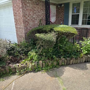 Bush Trimming by A Step Above Lawn Care LLC reviewed on January 30, 2024
