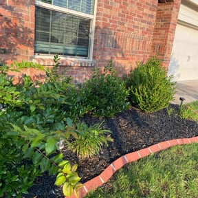 Flower Bed Weeding by The lawn Guy reviewed on October 28, 2024