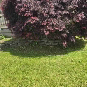 Flower Bed Weeding by Pennington's Lawn Care reviewed on May 5, 2022