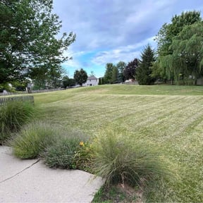 Mulching by LI LawnCare reviewed on July 20, 2022