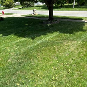 Flower Bed Weeding by Hettie Mae Residential Services llc reviewed on June 10, 2022