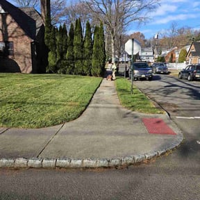 Leaf Removal by ABC Lawn and Waterscapes reviewed on May 3, 2022
