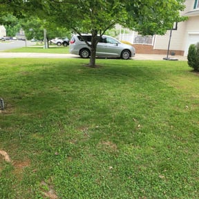 Bush Trimming by l&r asphalt Repair reviewed on April 24, 2022