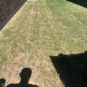 Flower Bed Weeding by Javier’s Tree Services, LLC reviewed on February 26, 2025