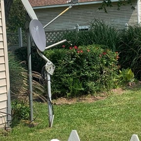 Bush Trimming by ST. JAMES PROFESSIONAL SERVICES GROUP LLC reviewed on September 22, 2024