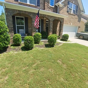 Bush Trimming by Scott Bensing Lawn Care reviewed on June 8, 2022