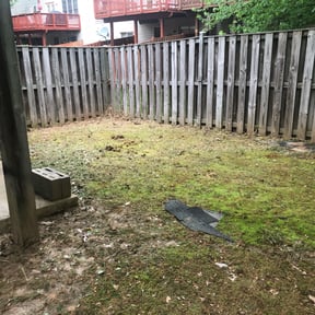 Leaf Removal by Jmm reviewed on June 19, 2025