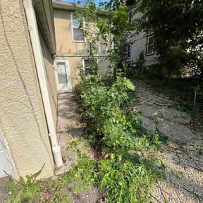 Bush Trimming by LSLTDallas/FortWorthTruGreen reviewed on April 25, 2024