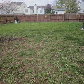 Cleanups by real lawn service reviewed on July 24, 2022