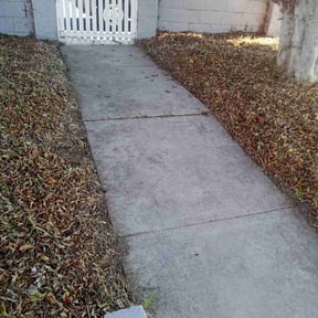 Cleanups by A1 Tree and Lawn Services reviewed on July 9, 2020