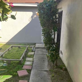 Bush Trimming by KingWay outdoor/inside lawn service, flowersbeds,pressure wash,painter reviewed on April 8, 2022