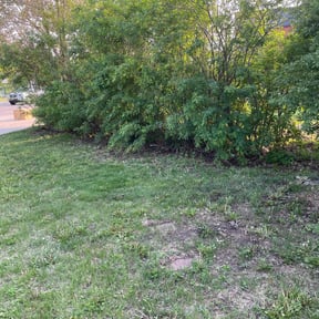 Cleanups by 100% Landcare reviewed on March 28, 2025