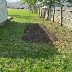 Lawn Seeding by Edwards Lawn and Landscaping Service reviewed on July 22, 2022