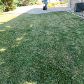 Bush Trimming by Colorado Lawns reviewed on July 3, 2025