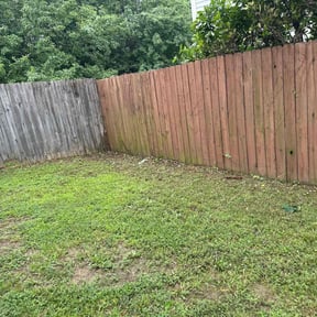 Cleanups by Beaming Things Lawn Cutting reviewed on June 24, 2022