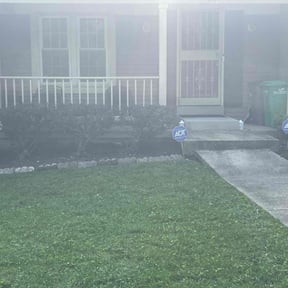 Bush Trimming by Phelps Lawn Care reviewed on June 21, 2022