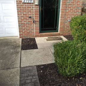Leaf Removal by Designer Cuts Lawn Maintenance reviewed on November 12, 2022