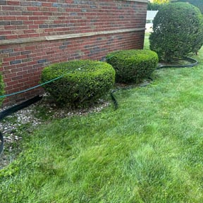 Bush Trimming by Rupe's lawn care reviewed on May 6, 2022