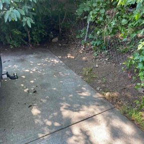 Cleanups by Brandon’s property services reviewed on May 9, 2022