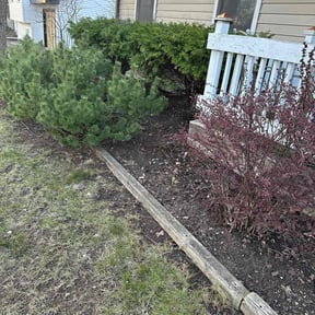 Leaf Removal by Driveway Diagnostics reviewed on October 9, 2024