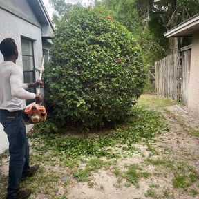 Bush Trimming by Visionary Lawn Services reviewed on May 10, 2022