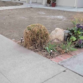 Bush Trimming by Green Missions Landscaping LLC reviewed on April 30, 2022