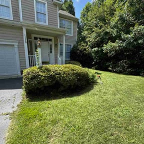 Bush Trimming by YARD TRANSFORMERS reviewed on July 28, 2022