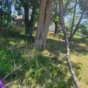 Leaf Removal by Affordable Lawncare Co. reviewed on June 23, 2022