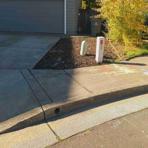Bush Trimming by Elite Mowing Services reviewed on May 5, 2022