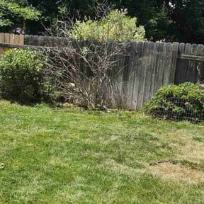 Bush Trimming by Stephanie Lawn Care reviewed on May 19, 2022