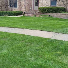 Bush Trimming by Designer Cuts Lawn Maintenance reviewed on April 29, 2022