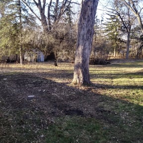 Leaf Removal by C&J Lawn Care reviewed on May 19, 2022