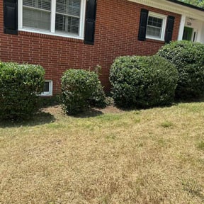 Bush Trimming by Larkins inc reviewed on June 10, 2022