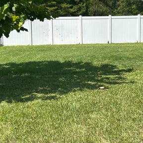 Bush Trimming by McGee&#039;s Lawn Care LLC reviewed on April 8, 2025