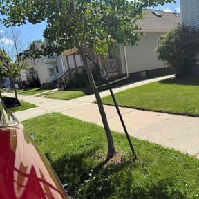 Leaf Removal by Redline Property Maintenance (RPM) reviewed on May 11, 2022