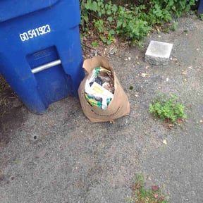 Cleanups by Razo Rigo landscaping reviewed on March 25, 2022