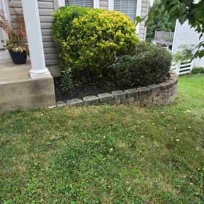 Bush Trimming by Short Guy Inc Home Services reviewed on June 15, 2025