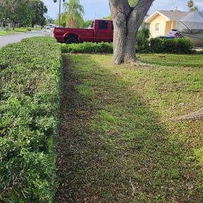 Bush Trimming by PerfectCutLawn reviewed on November 30, 2022